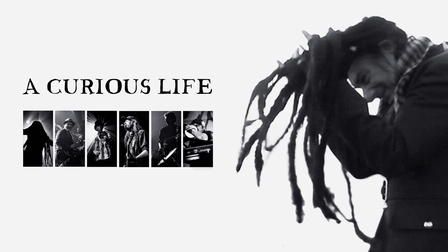 A Curious Life