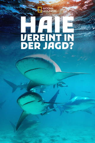 Haie - Vereint in der Jagd?