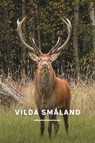 Vilda Småland