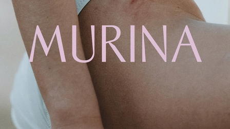 Murina
