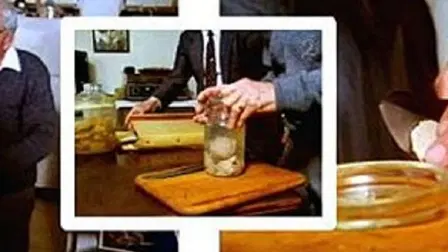 Relics: Einstein's Brain