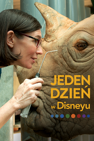 Jeden dzień w Disneyu