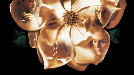Magnolia