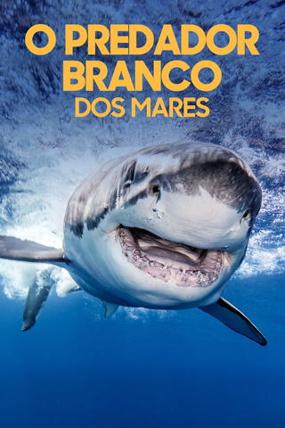 O Predador Branco dos Mares