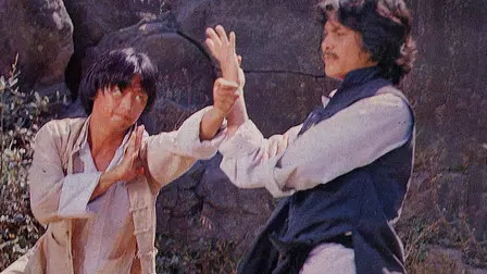 Kung Fu Attraction
