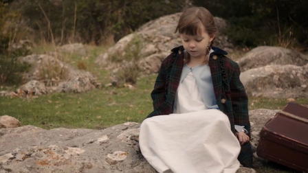 The memory of butterflies