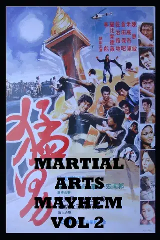 Martial Arts Mayhem Vol 2