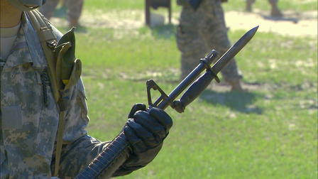 Soldiers of Conscience