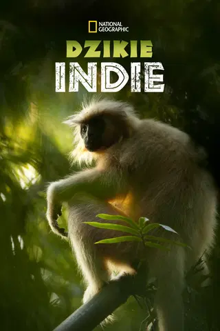Dzikie Indie