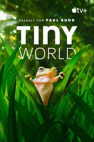 Tiny World