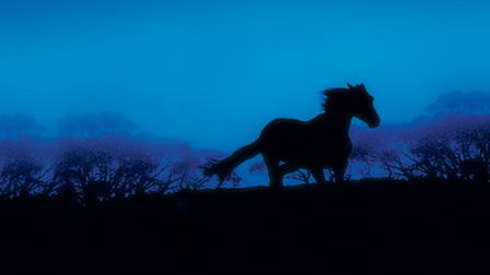 Horses: The Story of Equus