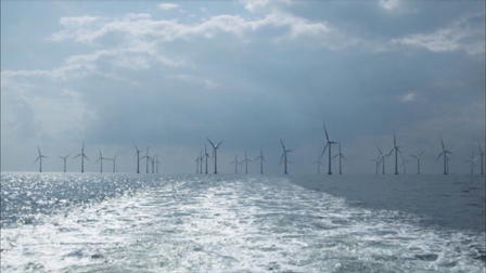 Cape Spin: An American Power Struggle