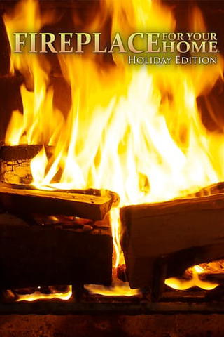 Fireplace for Your Home : Holiday Edition