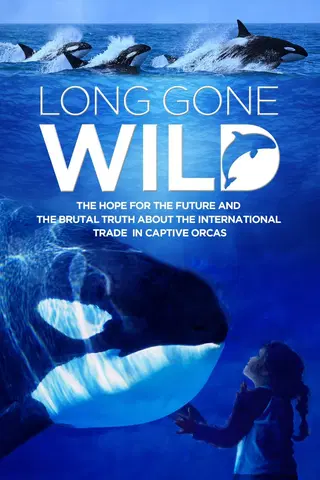 Orcas: Hora de Libertad (Spanish Long Gone Wild)