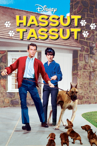 Hassut tassut
