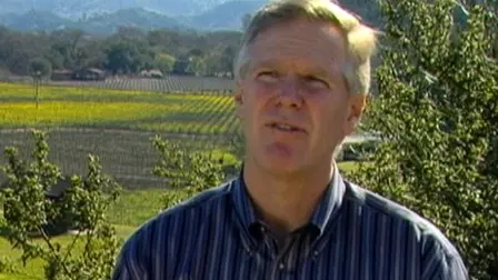 An Introductory Guide to Wine