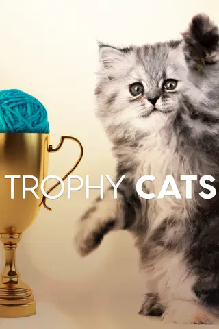 Trophy Cats