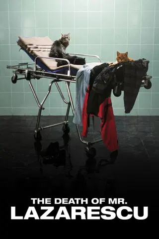 La muerte del Sr. Lazarescu