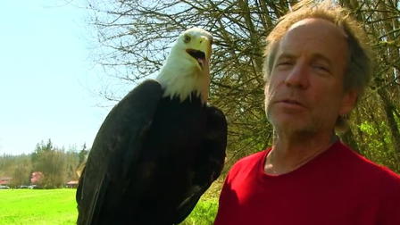 From Parrots to Elephants: Worldwide Animal Rescues