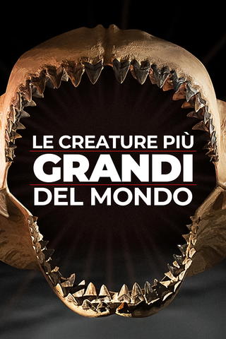 Le creature più grandi del mondo