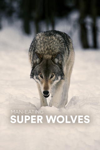 Man-Eating Super Wolves
