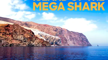 Island of the Mega Shark
