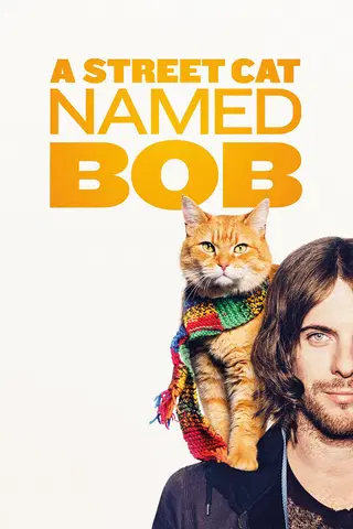 Gatukatten Bob