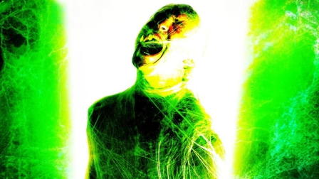 Webs