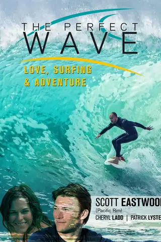 The Perfect Wave