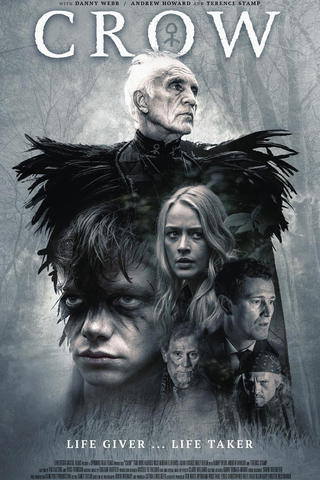 Crow