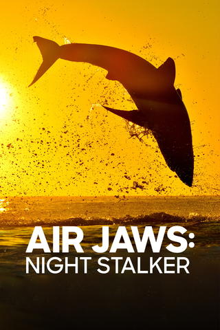 Air Jaws: Night Stalker
