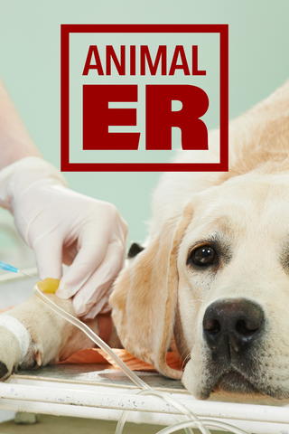 Animal ER