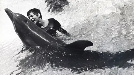 The Girl Who Talked to Dolphins