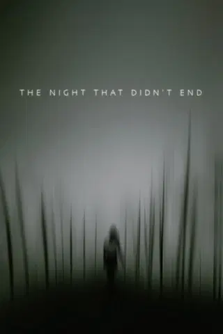 The Night That Didn't End