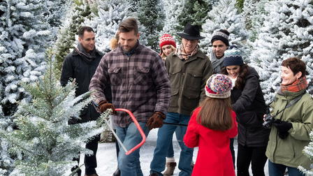 Last Vermont Christmas