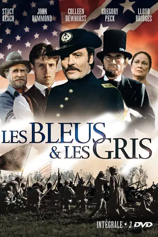 Les Bleus et les Gris