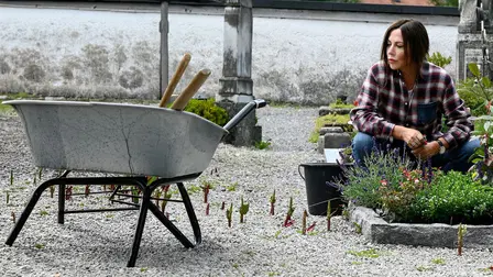 Frühling - Die Mutter, die es nie gab