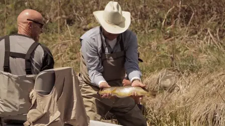 The Rocky Mountain Fly Highway