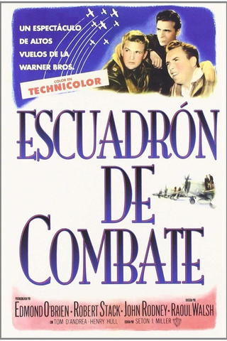 Escuadrón de combate
