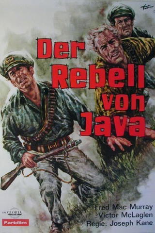 Der Rebell von Java