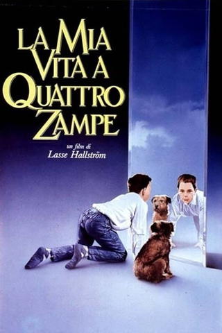 La mia vita a quattro zampe