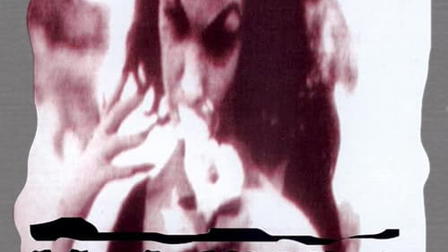 Vampira: About Sex, Death and Taxes