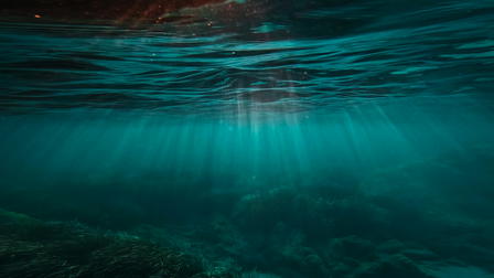 Cursed Waters: Creature of Lake Okanagan