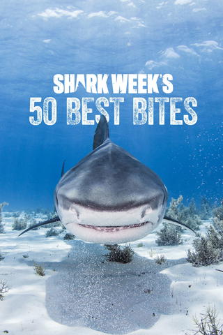 Shark Week's 50 Best Bites