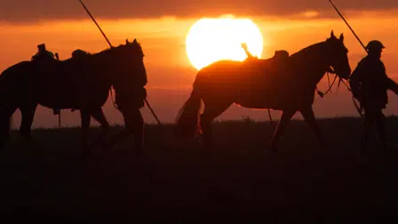War Horse: The Real Story