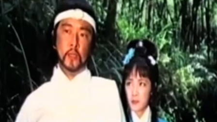 One Armed Swordsman Against Nine Killers