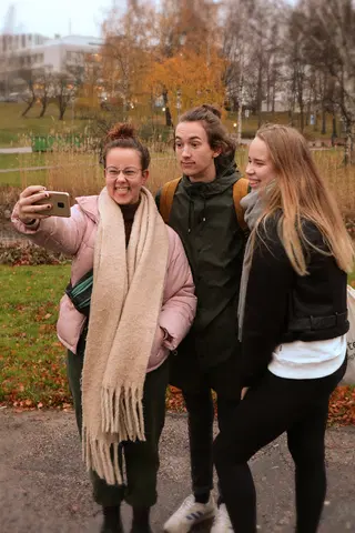 GUL I Stan