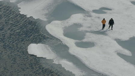 Before the Flood: DiCaprios klimakamp