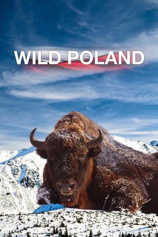 Wild Poland