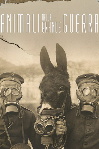 Animali nella Grande Guerra